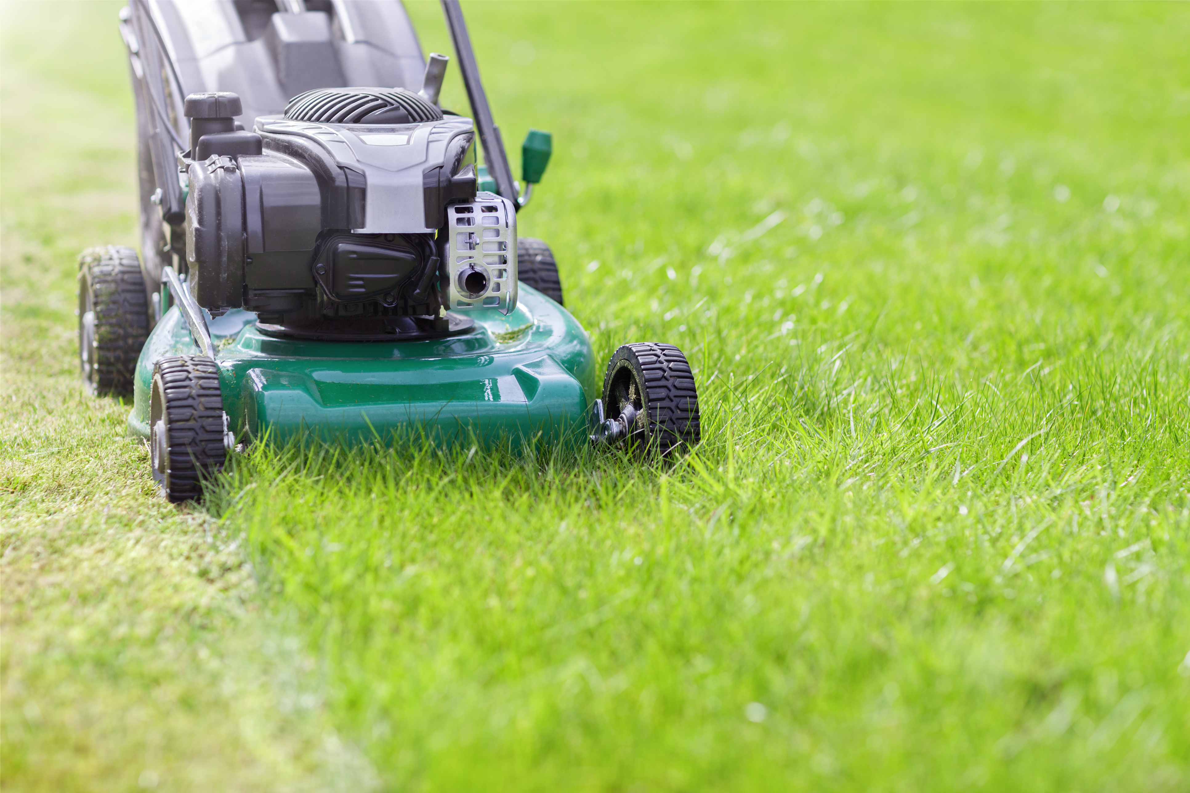 Close up of green lawnmower cutting grass