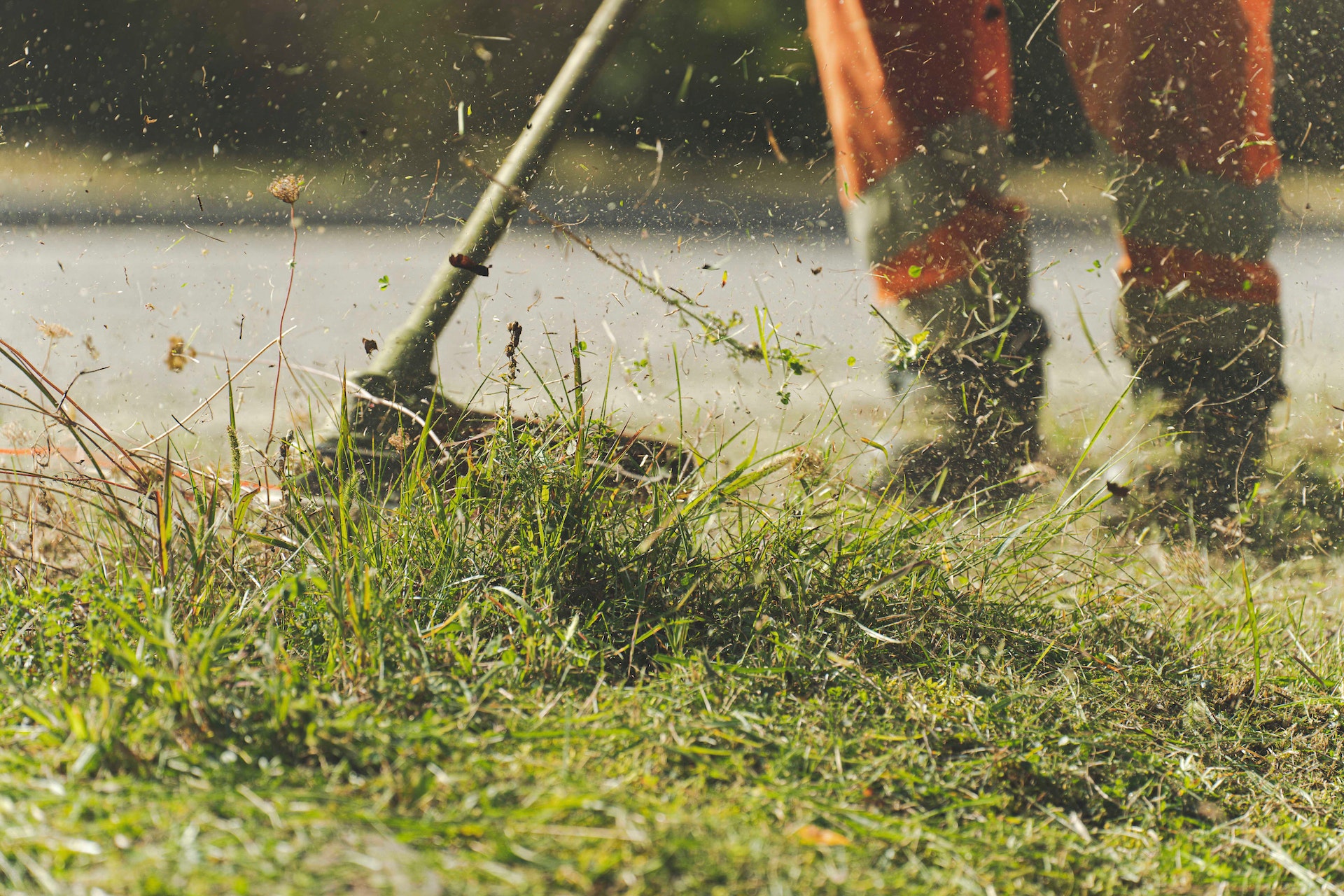 Close up of grass being cut