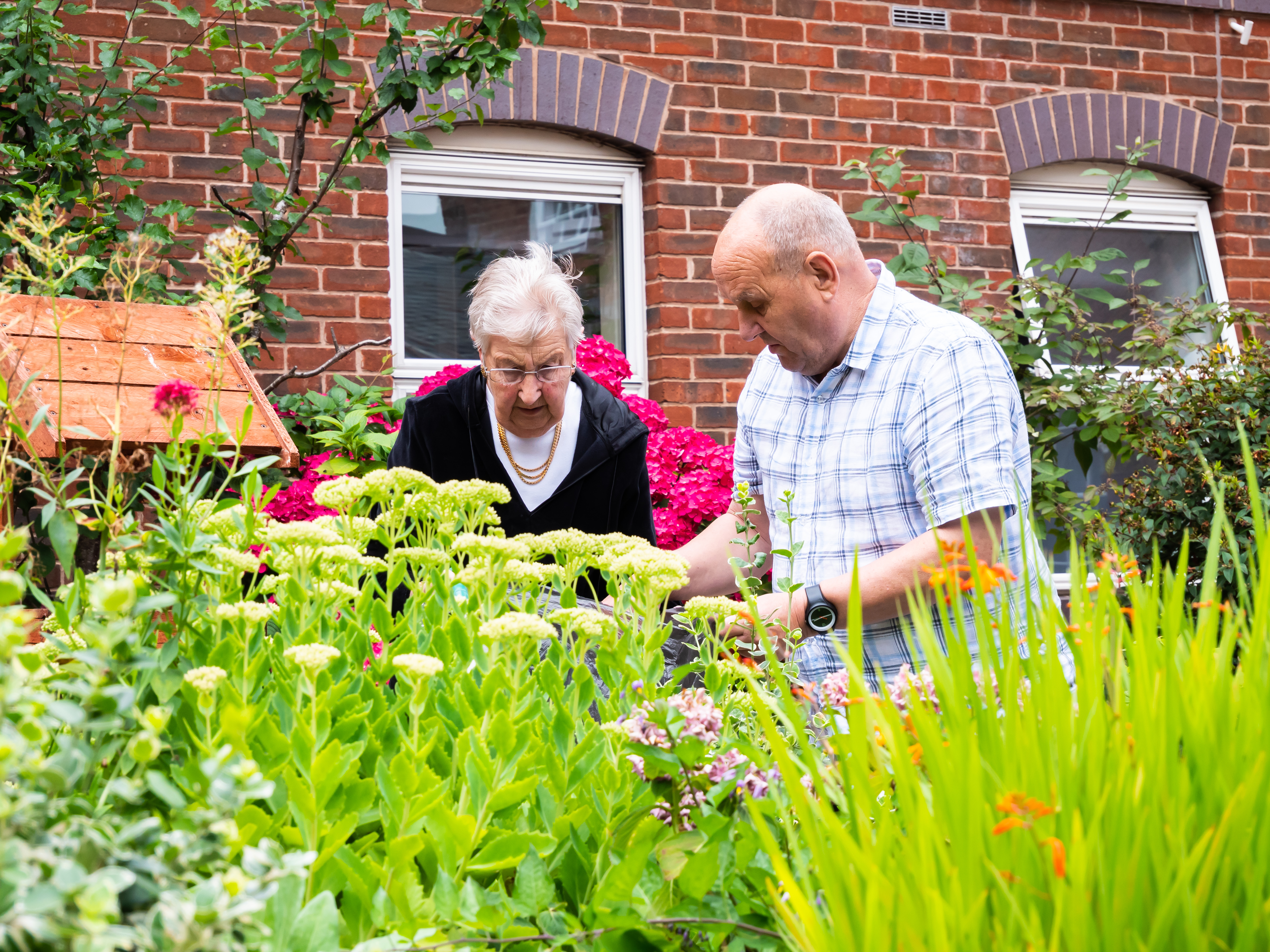 Low-down shot of tall garden plants with two retirement scheme residents gardening in the background