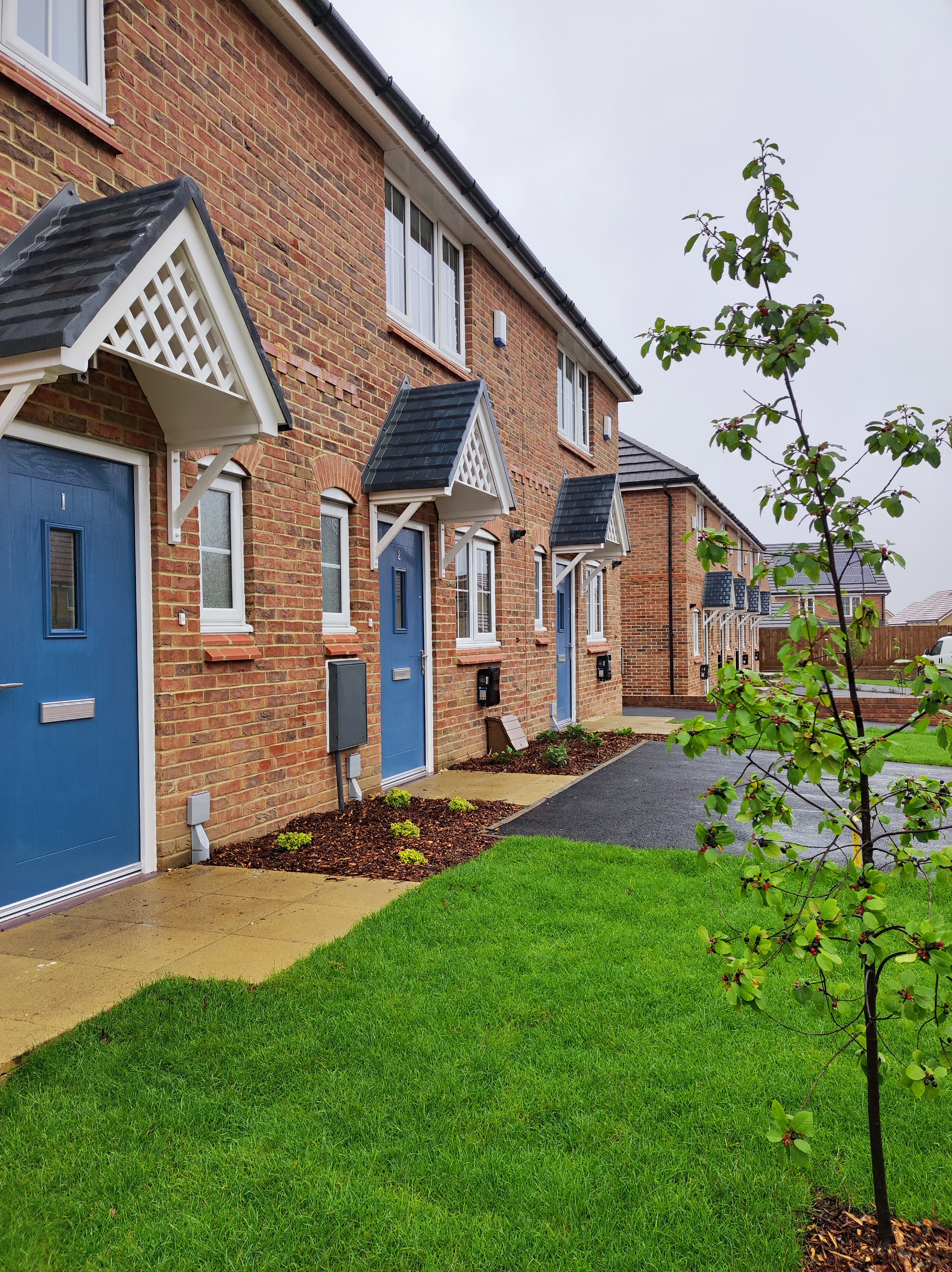 Row of terraced new-builds with blue front doors and grass front garden 