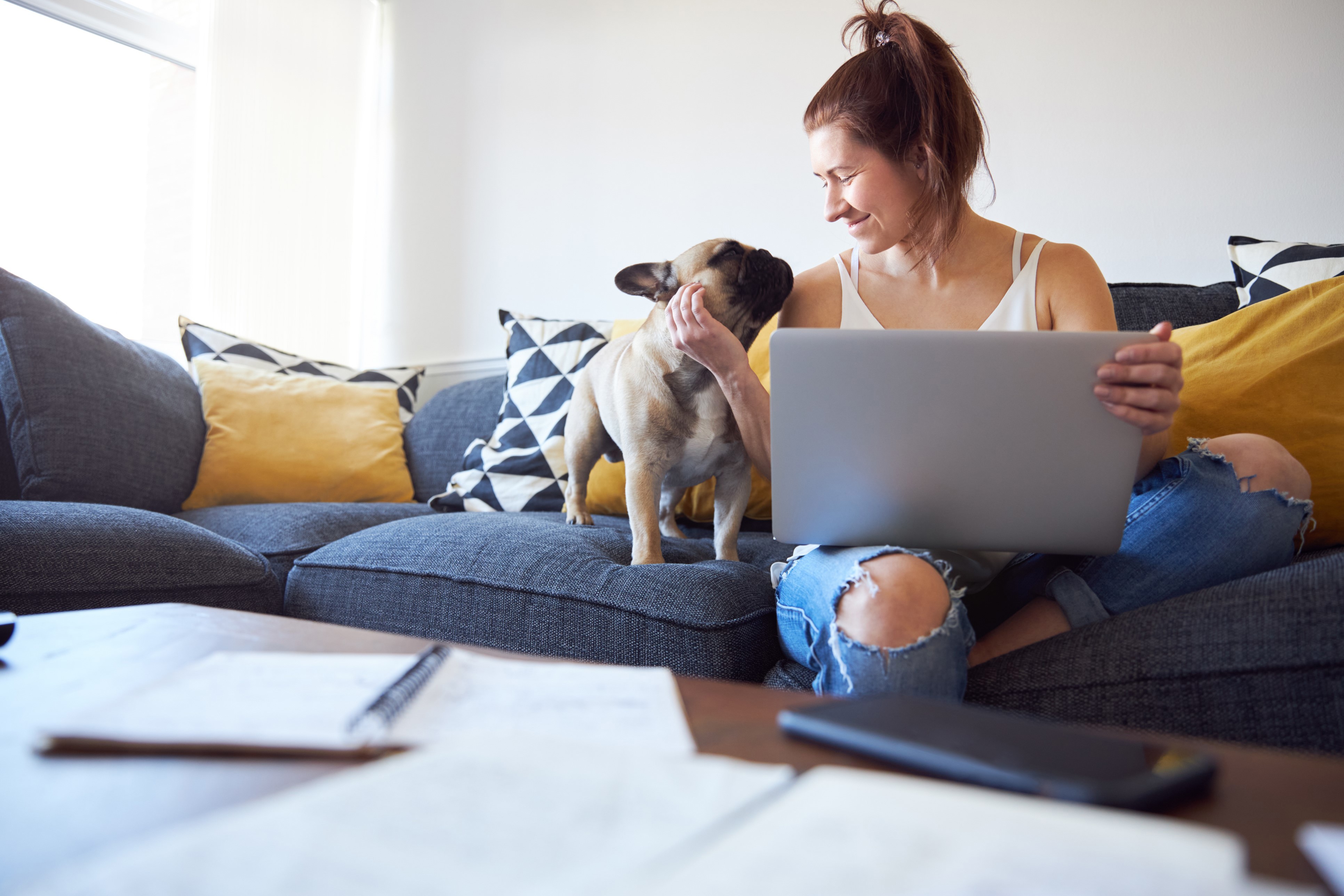 Woman on laptop sat on sofa, smiling and stroking the chin of her French bulldog stood next to her