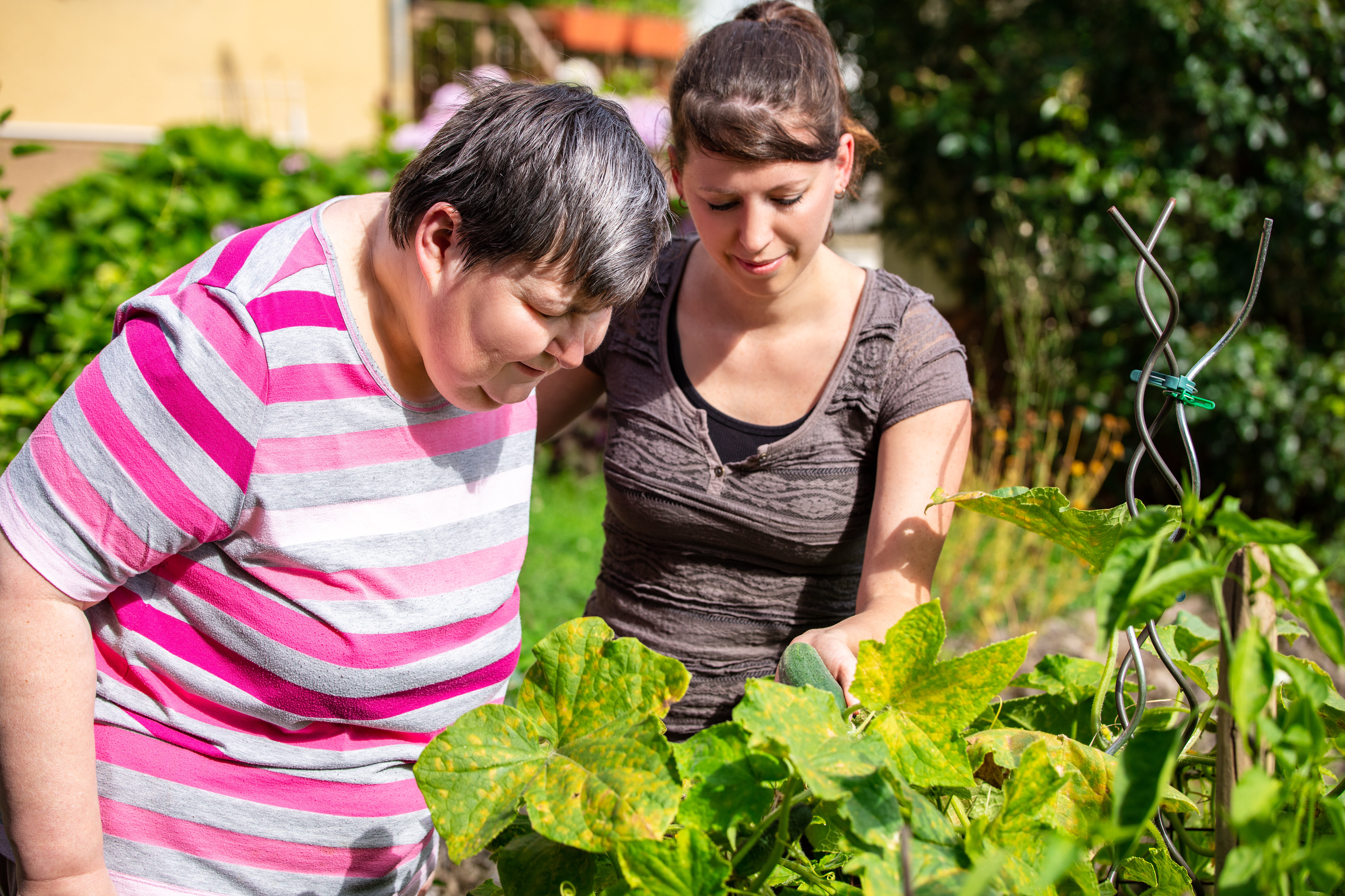 Two women gardening