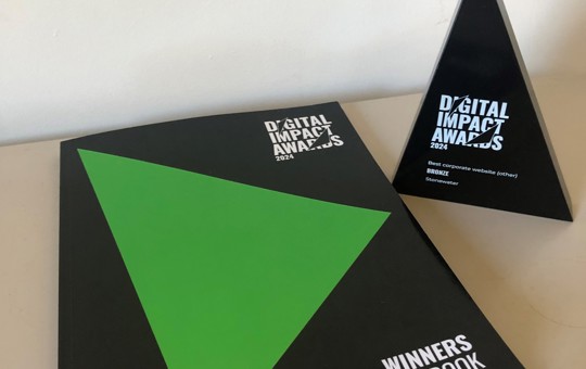 Digital Impact Awards winners book