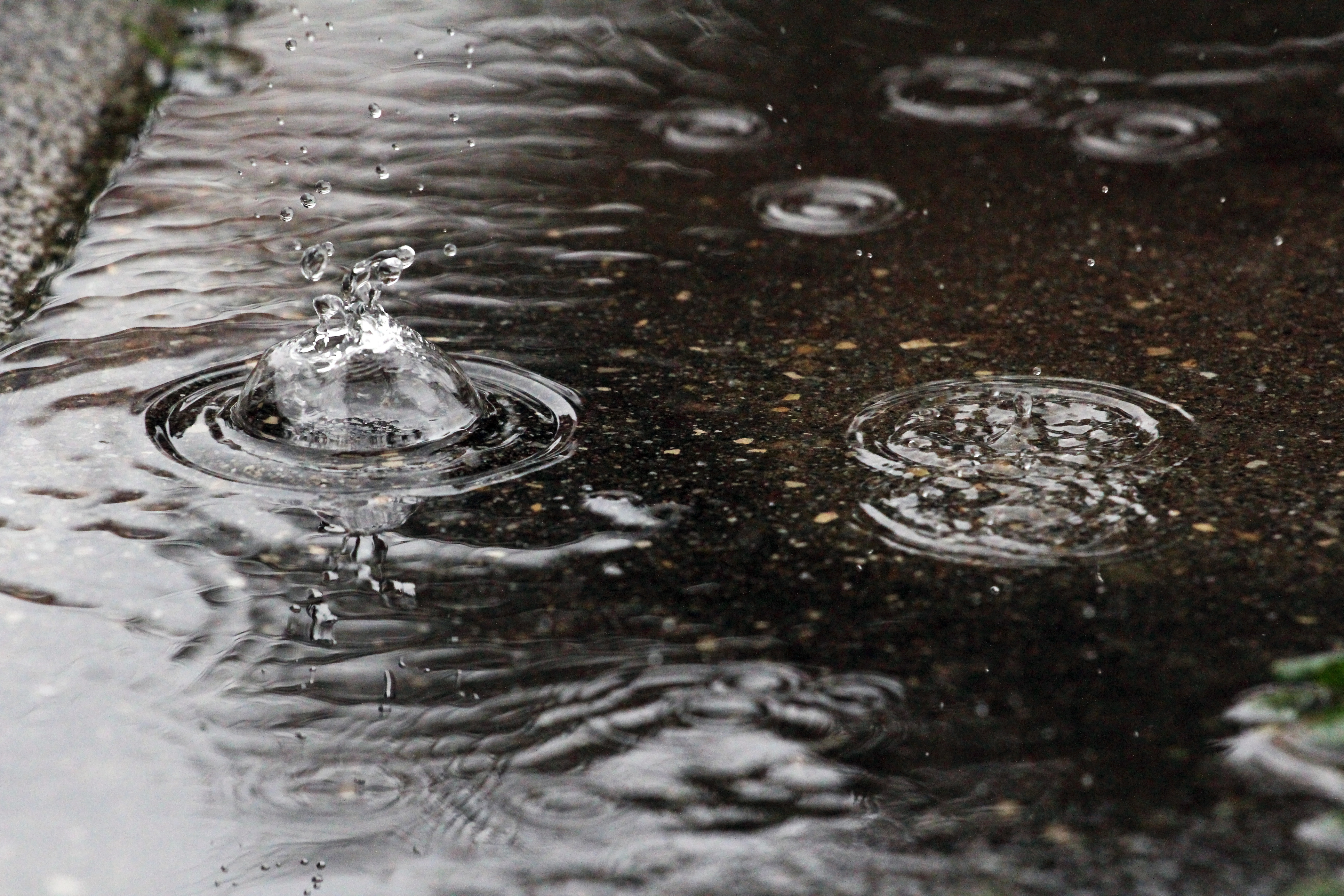 Close-up of a pool of water on concrete, with rain drops splashing into it